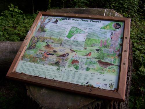 Photo Holt Copse Nature Reserve