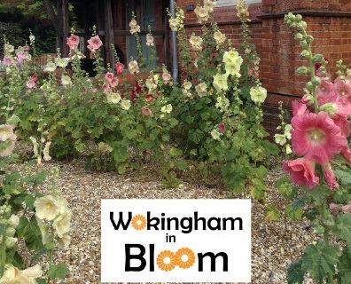 Photo Wokingham_in_Bloom.jpg
