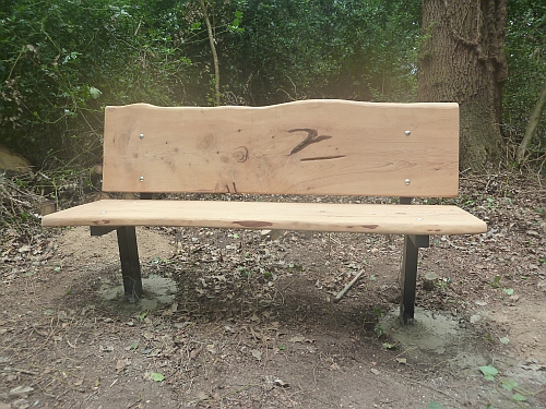 Holt Copse bench photo